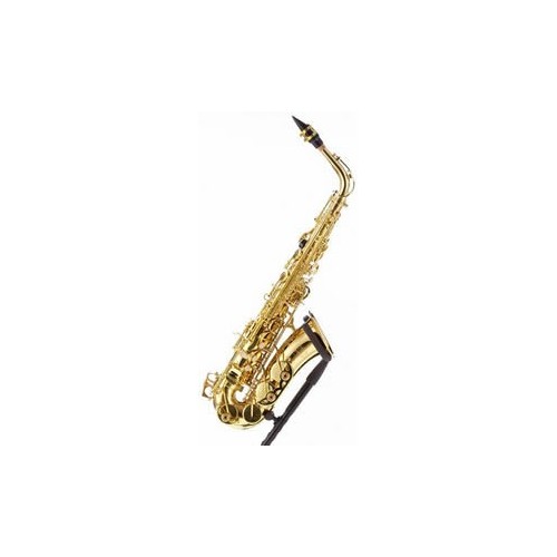 Saxofon alto Parrot 6430L