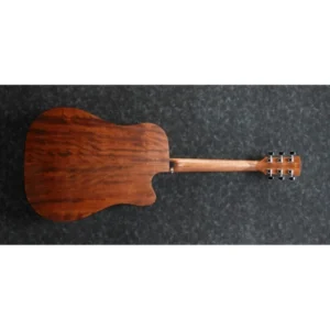 Ibanez AW54LCE-OPN – Stangaci