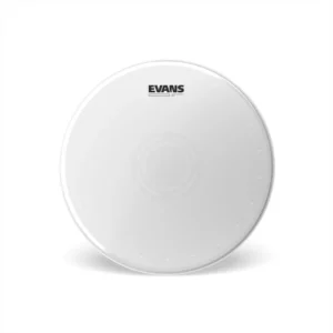 Evans 14″ B14HWD Heavyweight Dry