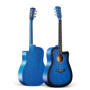 Chitara Acustica ENJOY M4101 BL