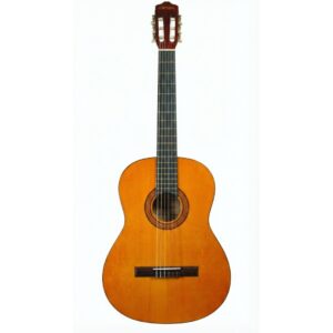 Set Clifton Valesca 39 4/4 Natural Tinted Set