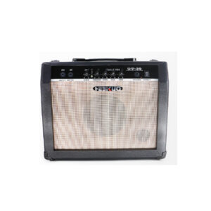 GT-30 Amplificator Chitară 30W