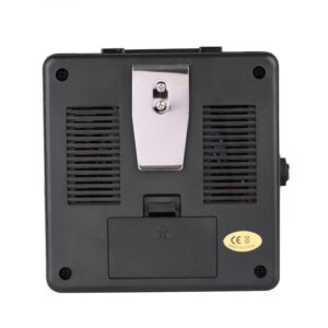 PG-5 Amplificator Chitară 5W